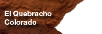 The Quebracho Colorado Tree