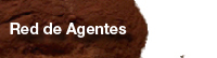 Agent Network